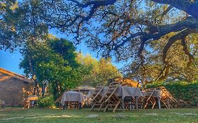 Agriturismo Casteddu