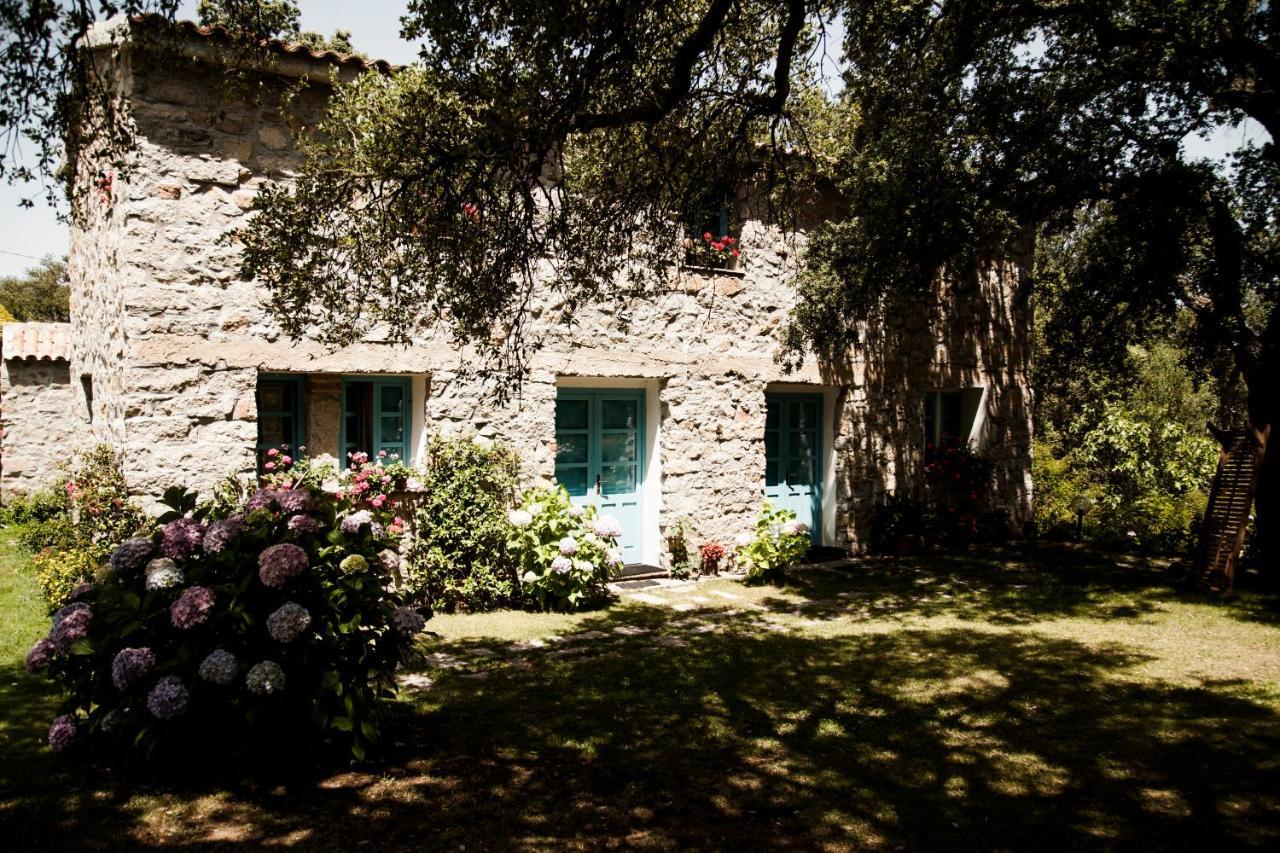 Agriturismo Casteddu Padru Extérieur photo