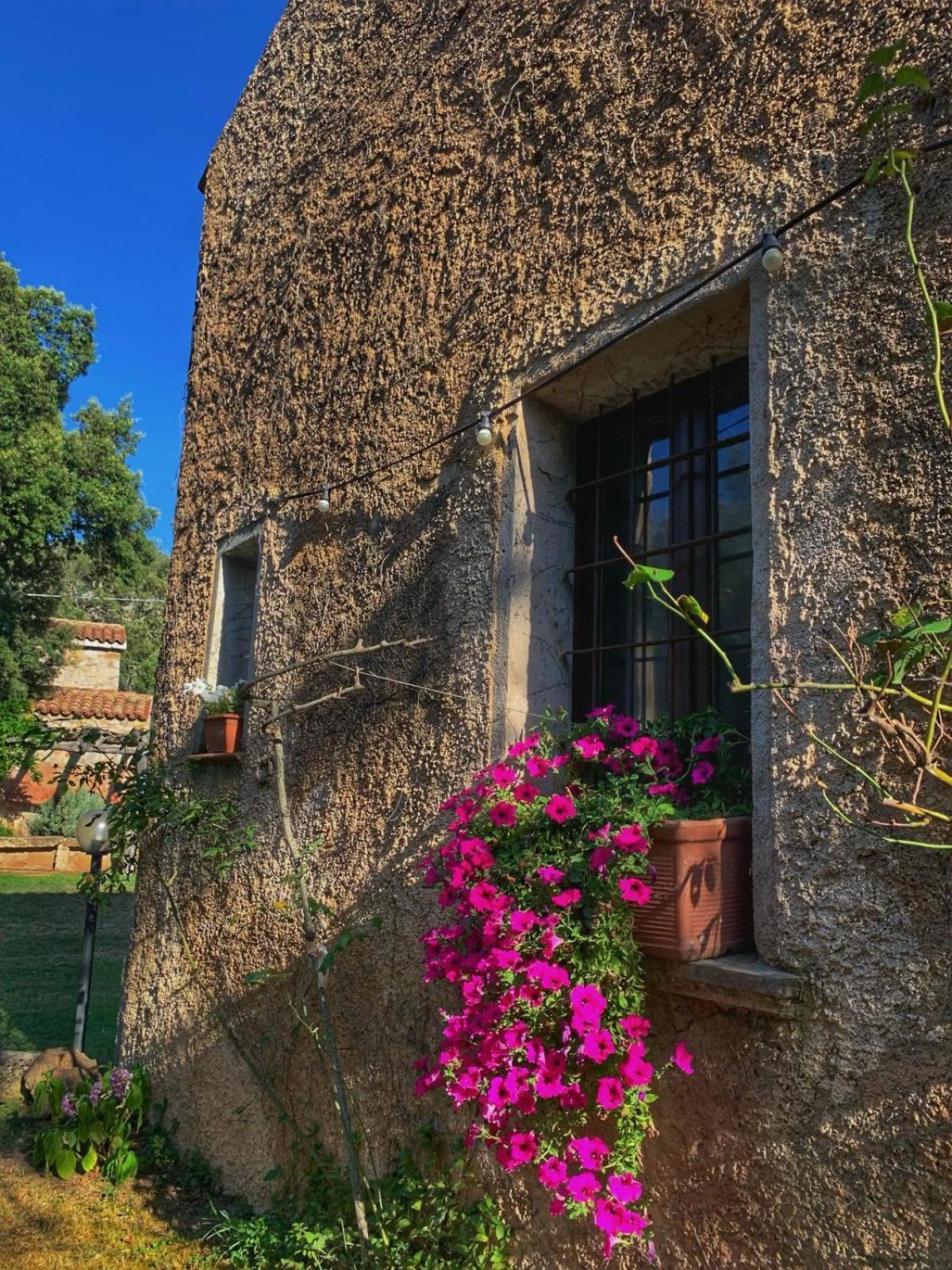 Agriturismo Casteddu Padru Extérieur photo