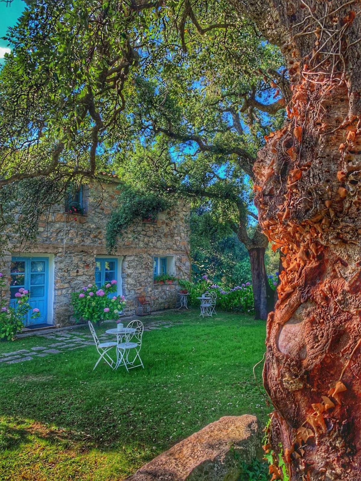 Agriturismo Casteddu Padru Extérieur photo